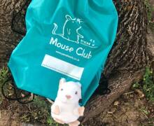 Mouse club