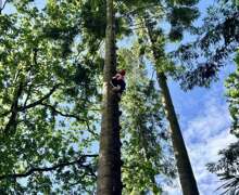 513026000 1192042042723644 2473432445356897630 n